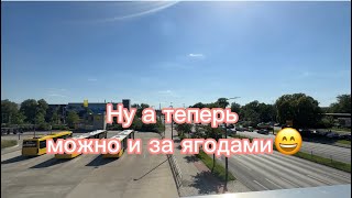 Что я делала в Берлине/ видео для тех кто любит собирать ягоды/ фруктовый питомник Берлина