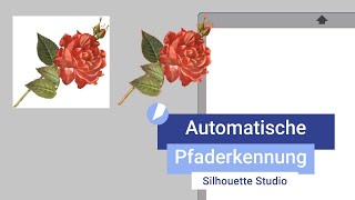 Silhouette Studio I Automatische Pfaderkennung PNG