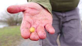 Making Bob Nudd's spud