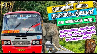 Gudalur to Gundalpete Bus | Mudumalai - Bandipur Tiger Reserve | Adventure Trip Through The Forest