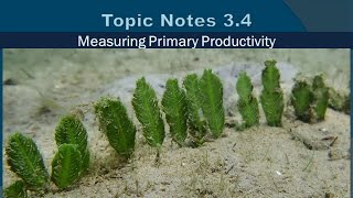 Topic Notes 3.4: Measuring Productivity