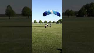 Une Suédoise de 103 ans a battu un record du monde de saut en parachute #Shorts