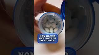 LE GOMME DA MASTICARE SCADONO? #chewinggum #scadenza #alimentisicuri