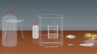 Reversible and Irreversible Reaction