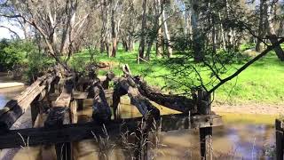 DECAYING WOODEN BRIDGE