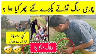 punjabi vlog banane ka tarika | village vlog l best Vlog l सरसों का साग पंजाब में कैसे बनाया जाता है