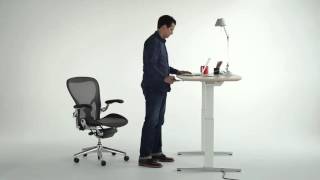 Renew™ Sit-to-Stand Desk