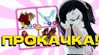 ПРОКАЧКА ИНВЕНТАРЯ ПОДПИСЧИКА!😱 Adopt Me Roblox