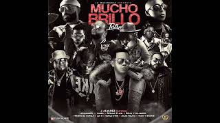 Franco El Gorila Ft Arcangel y J Alvarez y Mackie, Nejo, Yomo, Ñengo Flow y más - Mucho Brillo