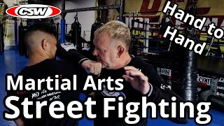 How to use Martial Arts in a Street Fight - Hand to Hand