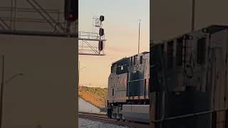 Csx M453 with a Friendly Conductor knocks down the Signals at Lakeland JCT.