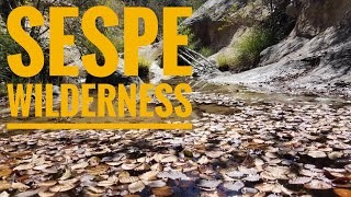 Hiking in the Sespe Wilderness