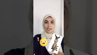 فوائد واضرار التيك اواي "البرجر" Dr.Sally Nasef هااااااام