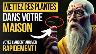 7 PLANTES QUI FONT ENTRER L'ARGENT DANS VOTRE MAISON - C'EST PUISSANT | bouddhistes