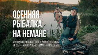 Крупные БРАТИШКИ на фидер | Осенняя рыбалка на водохранилище на два фидера