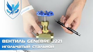 ⛲️🔶 Вентиль игольчатый Genebre 2221 Ду 25 🎥 видео обзор на вентиль стальной муфтовый