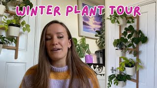 Winter Plant Tour | Moving my Plants for Winter