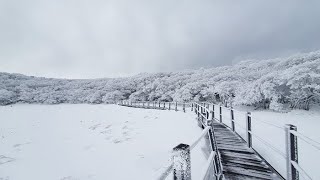 제주에서 눈썰매 타러가는 길