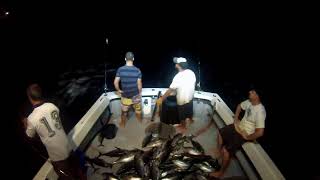 Curacao Shalako Boat, Amazing Fast Tuna Fishing Skill, Catching Tuna Fish on The Sea,Tuna fishing