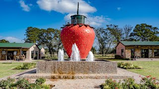 Giant Strawberry at Redberry Farm | Building Process