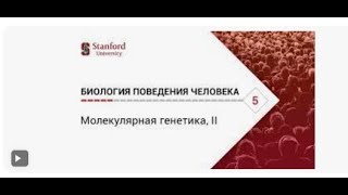 Биология поведения человека  Лекция #5  Молекулярная генетика, II Роберт Сапольски, 2010  Стэнфорд