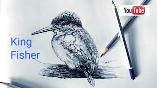 How to draw a bird.. Graphite pencil sketch