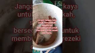 Jangan tunggu kaya untuk bersedekah