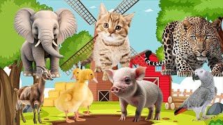 Animals The Farmers See, Cow, Cat, Chicken, Dog, Duck, Pig, Horse, Goat, Buffalo, Bird,