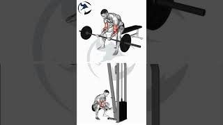 استبدال تمارين البايسبس الجزء الخامس #workout #biceps #short