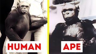 The Human-Ape Hybrid Experiment