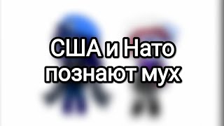 США и NATO, а так же мухи | Gacha Nox