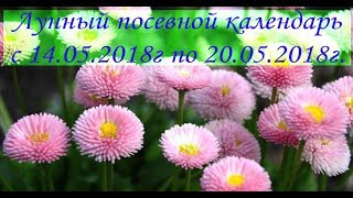 Лунный посевной календарь с 14.05.2018 года по 20.05.2018 года.