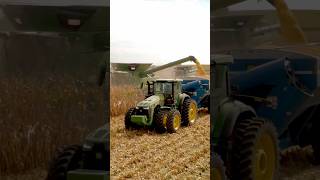 2 John Deere S780’s Picking Corn #johndeere #farming #satisfying #shorts #country #drone #harvest24