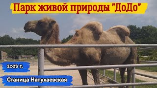 Парк живой природы "ДоДо" ст.Натухаевская (Новороссийск) #зоопарк #Анапа #Новороссийск #2023