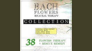 Water Violet Eft Dose Therapy (Binaural Real Frequency from Bach Flowers)