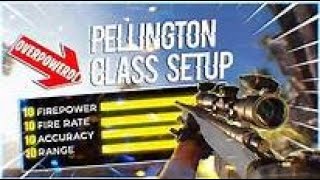 the BEST "Pelington 703" Class Setups in Black Ops Cold War (Best Class Setup/Loadout)