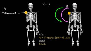 The Muscle Control Formula Concentric #2