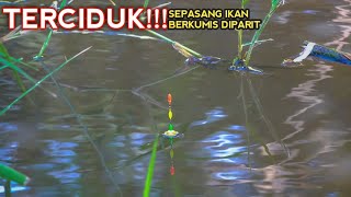 Rejekiku!!! Mancing Sering Boncos Eh..Sekali Dapet Sepasang Ikan Berkumis Di Parit