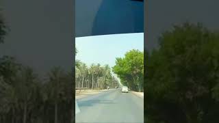 Sukkur To Hyderabad | Lahore to Karachi | N5 | Khairpur | Moro | Sakrand |WagonR VXL 2019