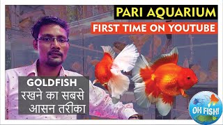 Easy Care Tips For Goldfish by Arif Momin in Hindi| Pari Aqurarium | Kurla Aquarium Fish Market|