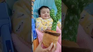 Baby's sweet reaction to talking  cactus #4monthbaby #shorts