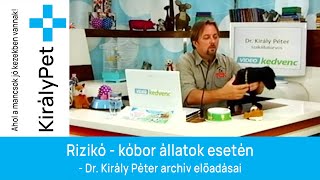 Rizikó - kóbor állatok esetén