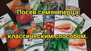 Посев семян перца классическим способом