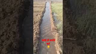 Irrigation Management in Onion Crop ll😱🚿