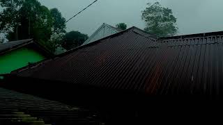 Rain Sounds For Sleeping - 99% Instantly Fall Asleep With Rain And Thunder Sound At Nigh