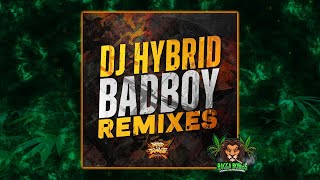 DJ Hybrid - Badboy (Bish Remix)