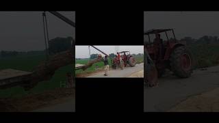 Amazing  machine Wood Loading Tractor 🚜 #video #viral