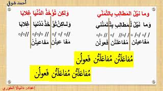 مدخل إلى علم العروض  - دراسة عروضية وفق البحر الوافر  - دانيالا الخوري