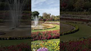 flowers show delhi amruth van behind rashtrapati bhavan #delhi #amruth van#rashtrapatibhawan