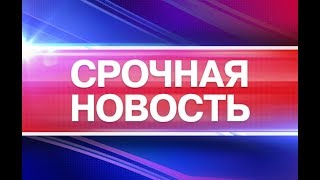 Свидетели Иеговы обжаловали запрет в Президиум Верховного Суда России